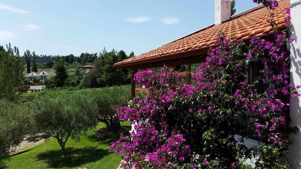 Appartamento Amparoudes Kriopigi Esterno foto